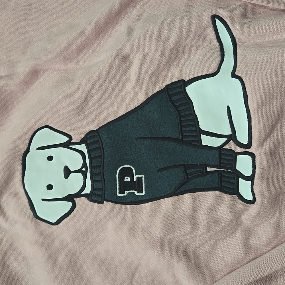 PINK Dog Graphic Hoodie and Sweatpants - Picture 3 of 16